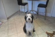 8 Months old
